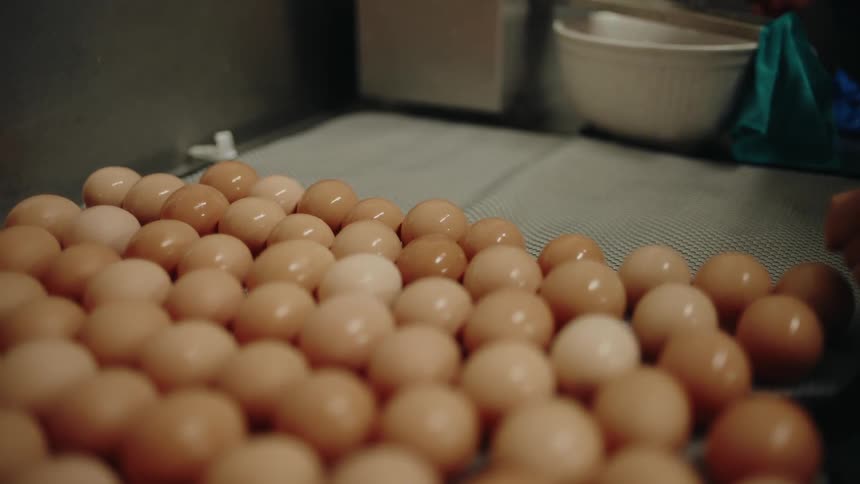 Hand place an egg on a surface