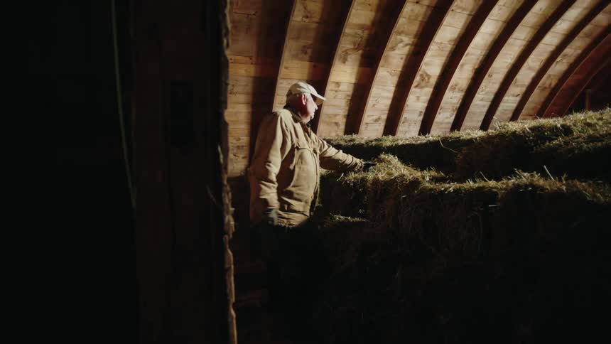 A person is standing in a wooden barn loft moving hay bales