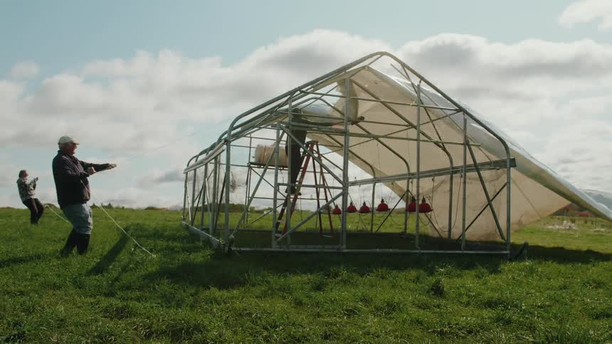 Two adults pull a white cover over the roof of a metal greenhouse on a summer day