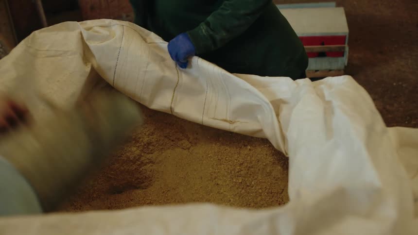 Two farmers dig feed from a large bag