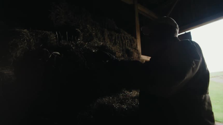 A farmer moves a bale of hay onto a stack in a barn
