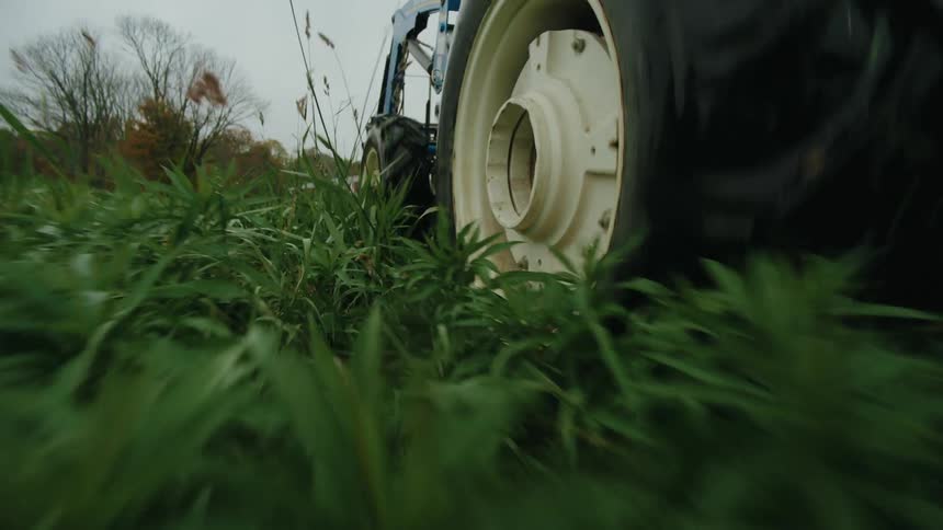 A closeup view of a tractor tire moving through tall grass in a field