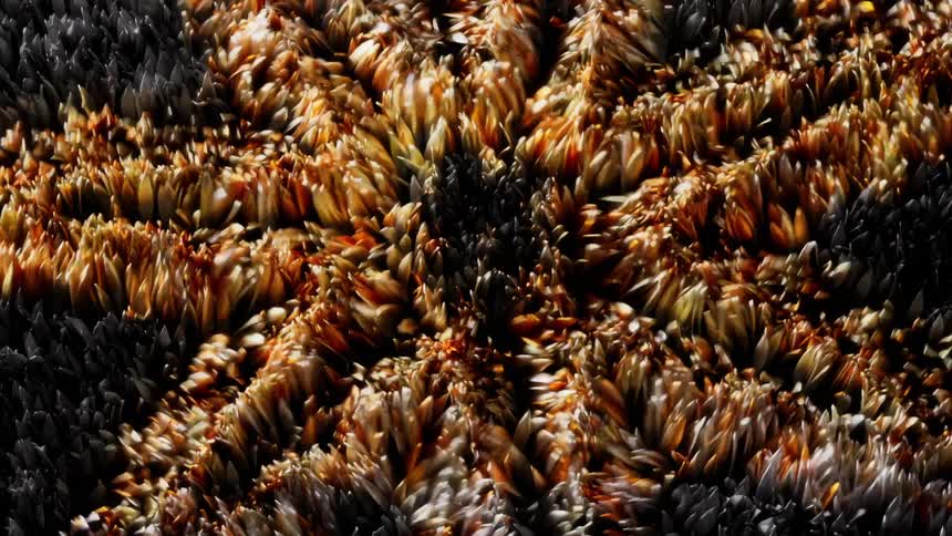 Dynamic digital art moves by forming different patterns and spreading gold color