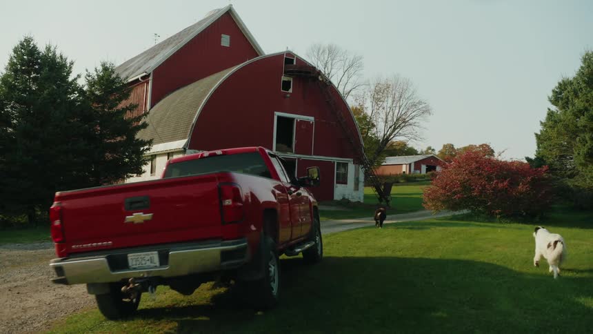 Dogs chase after a truck driving towards the barn