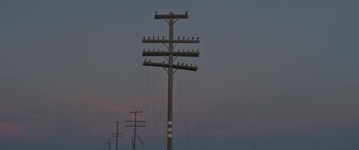 A footage of a utility pole
