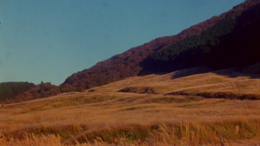 A golden field of tall grass stretches towards rolling hills