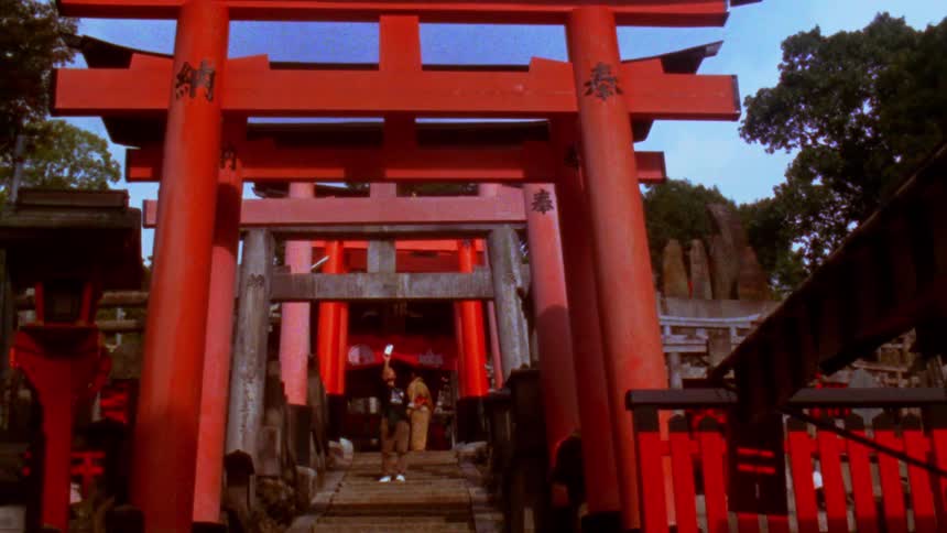 A person uses a smartphone to take pictures at the entrance of a shrine surrounded by vibrant red torii gates