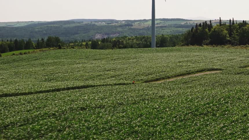 Drone shot of a lone gravel cyclist pedalling along a dirt road through a vast green field with wind turbines