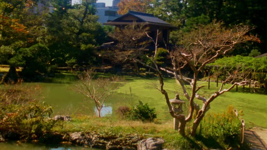 A yard with many trees near a pond andfield of grass