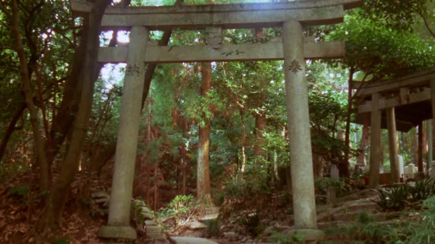 Manmade arches are along a path in a forest