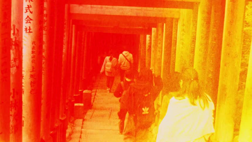 People walking on a path lined with vibrant red torii gates