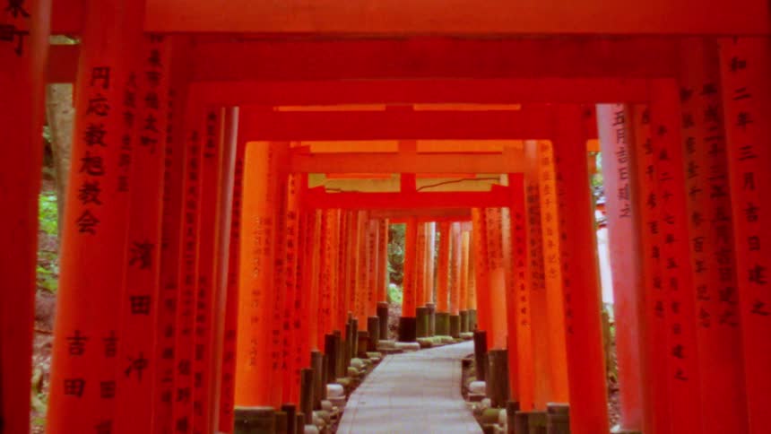 A path lined with hundreds of vibrant red torii gates stretches into the distance