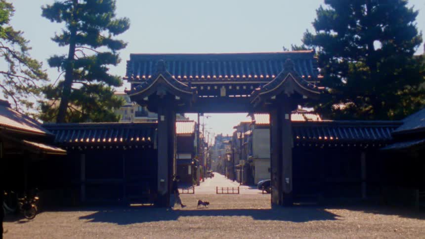 A person is walking a dog through a traditional japanese gate with tiled roofs
