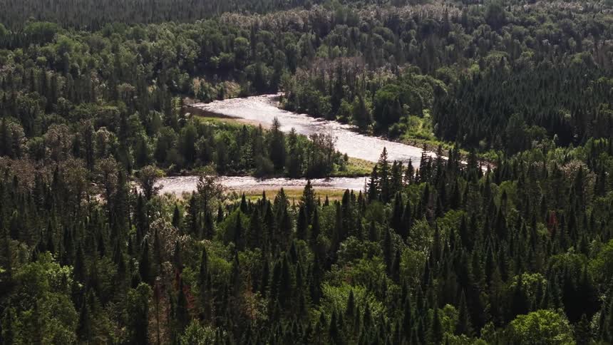 An aerial view of a winding river flowing through a forested landscape