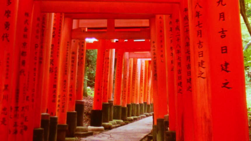 A path lined with vibrant red torii gates stretches into the distance