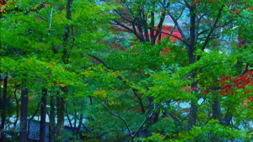 Stone statues are on a hill by the trees
