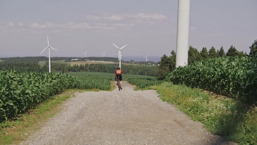 A gravel cyclist is riding away on a gravel path through a rural area with wind turbines and cornfields on either side