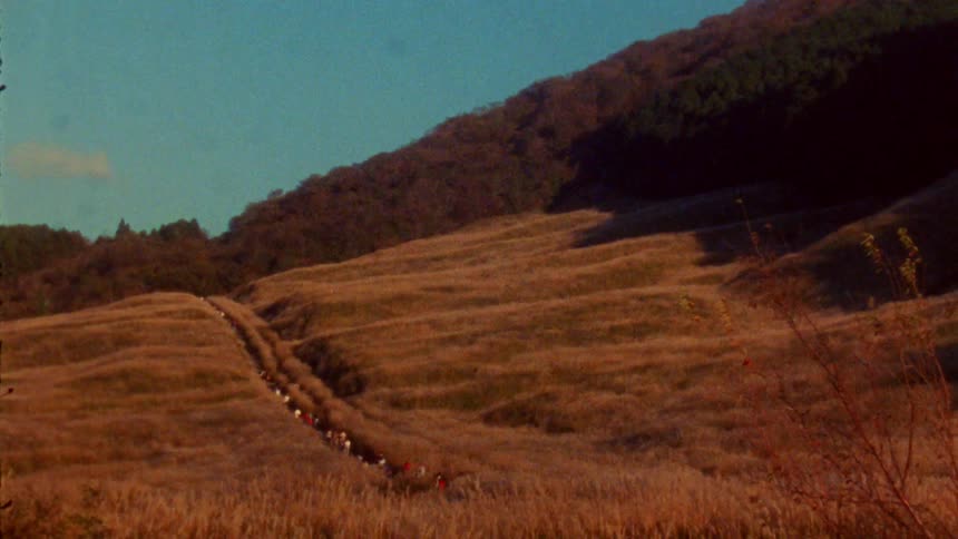 A wide lip of people traveling through the bush path