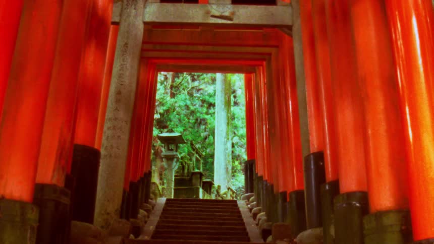 Staircase flanked by red torii at a japanese shrine overlooking green trees