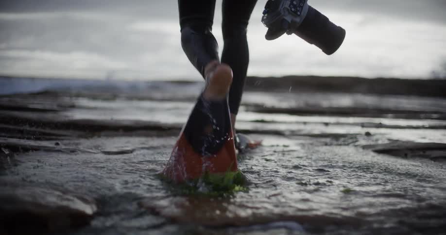 A person wearing fins walks through shallow water near a beach while carrying a camera