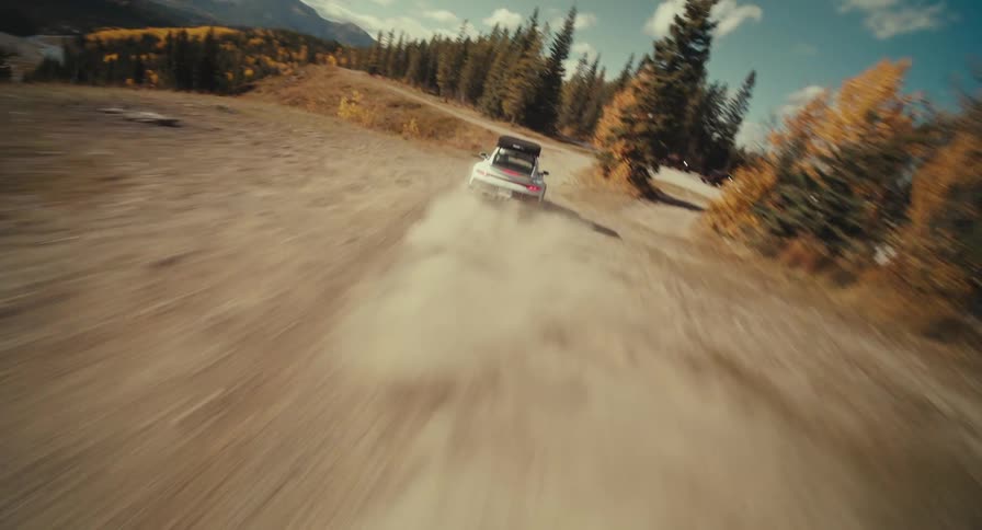 A car is speeding off road by the trees