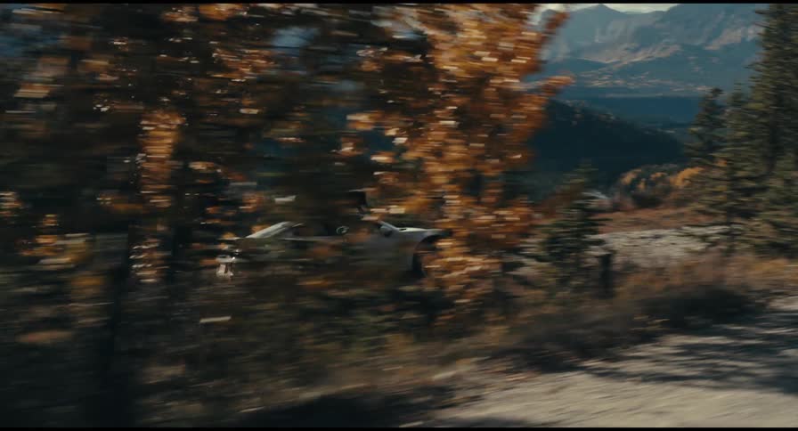 Car travelling over a road surrounded by trees and mountains outdoors during day time