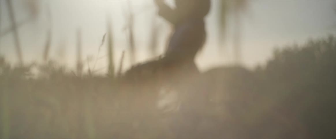 A clip of a lady walking through the flower plants