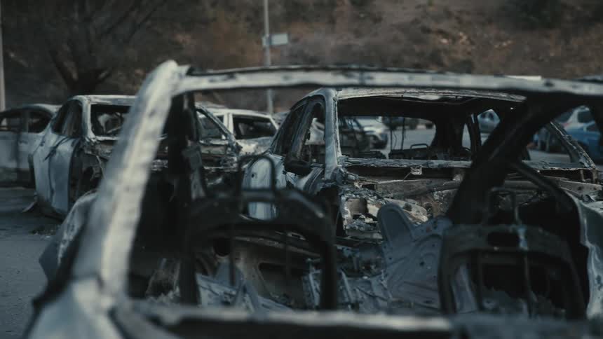 Charred remains of multiple vehicles with shattered windows and burned out interiors parked in a lot