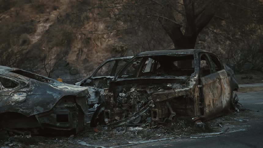 Two severely burned cars sit amidst a fire ravaged landscape