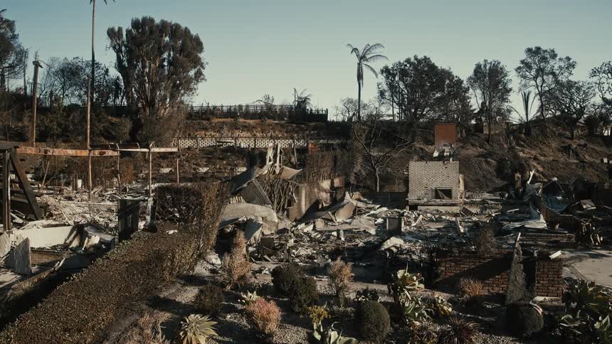 Trees line a slope near a fire damaged residential neighborhood