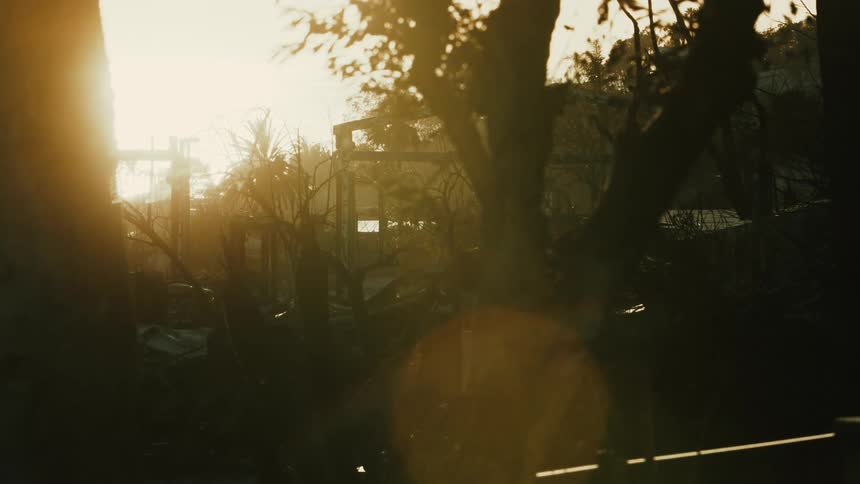 A destroyed building with the silhouette of some trees in front and a strong sun in the sky