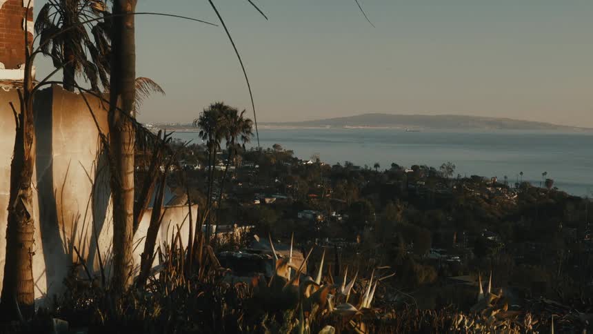 Hillside full of vegetation and houses stretches down to the calm ocean
