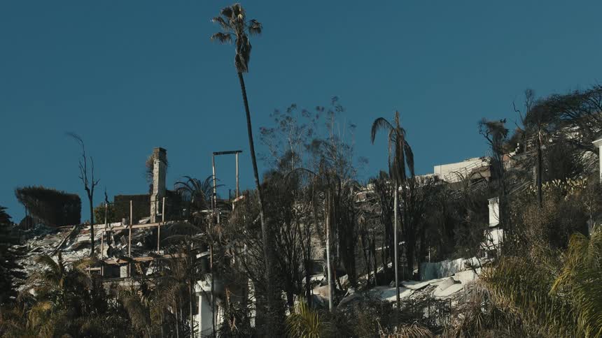 Destroyed houses on a hill with tropical trees