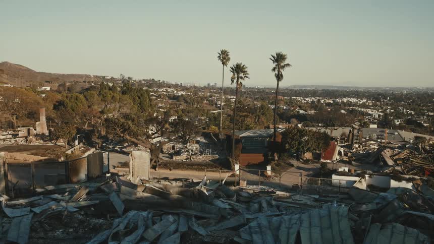 The aftermath of a fire with a foreground of burnt debris and a background showing three palm trees and other structures amidst a cityscape