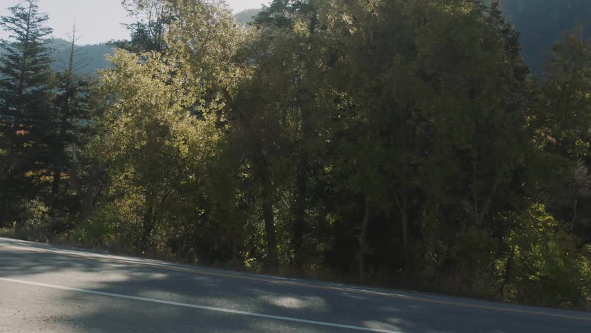 A cyclist in red rides past a tree lined road on a sunny day