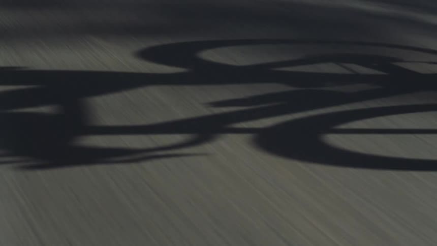 A man is cycling on a forested highway on a sunny autumn day