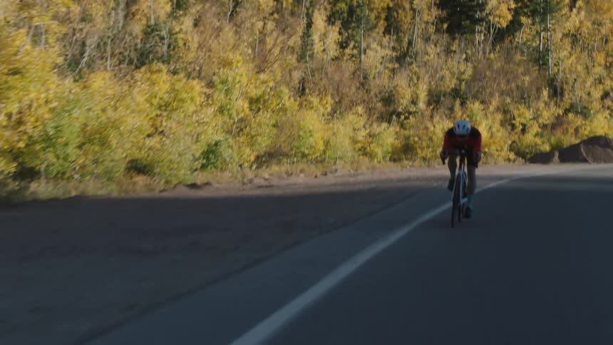 Cyclist riding along a highway surrounded by vegetation