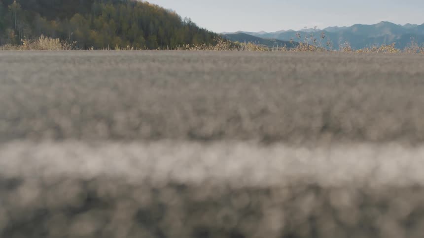 A closeup view of an asphalt road with a white line set against a backdrop of distantmountains and trees