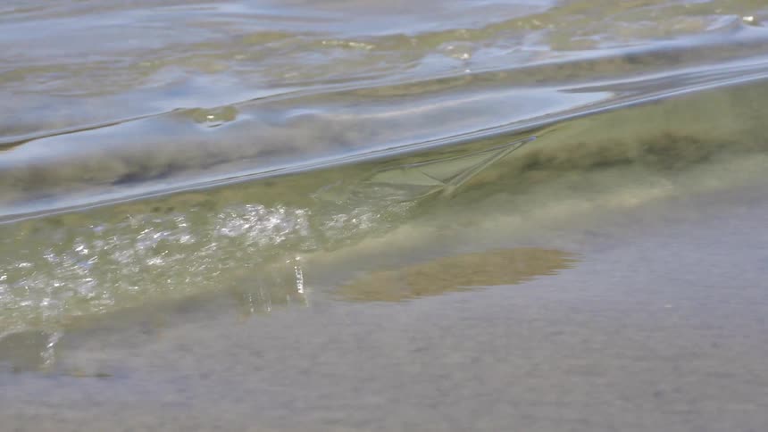Small waves in clear water fold over on the shore
