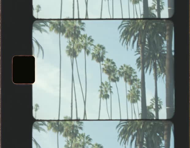 Super 8mm Film of Palm Trees Against the Blue Sky in Los Angeles