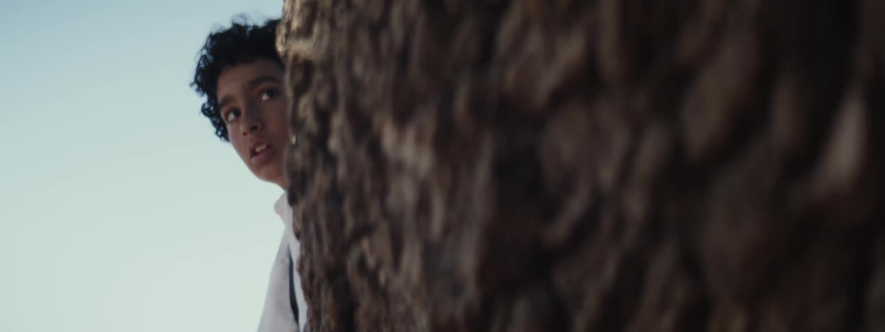 Boy hiding behind a tree trunk
