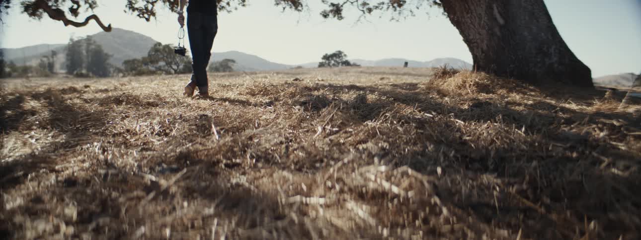Legs of a person on a dry grass field below a tree