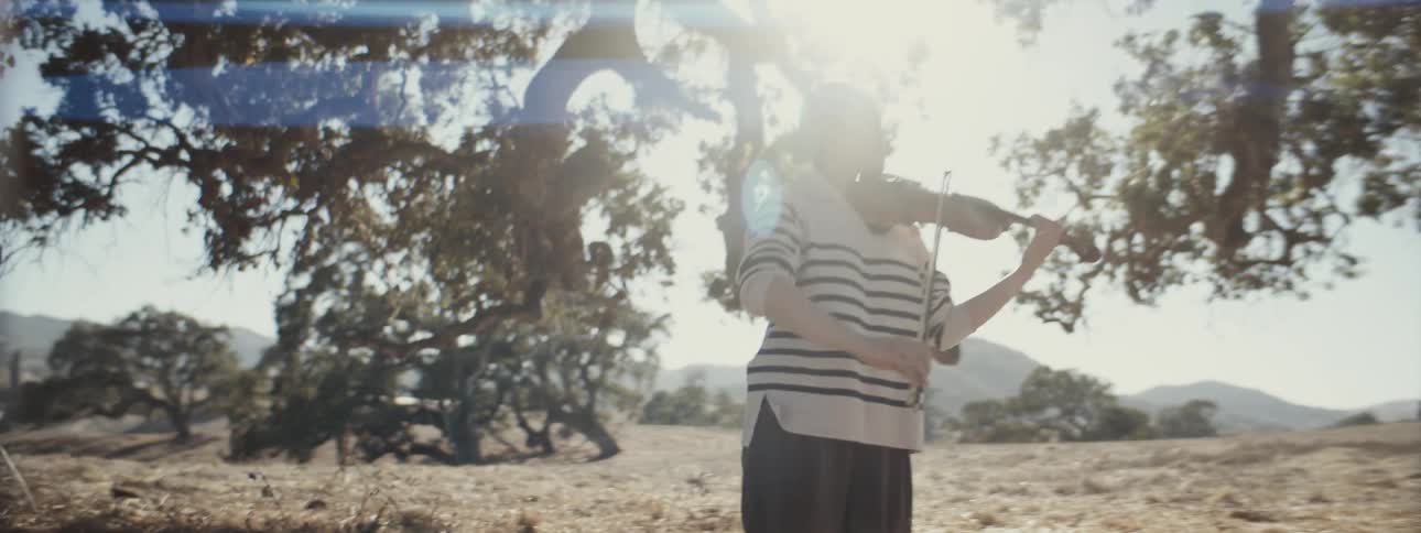 Woman playing violin beneath a tree in a field