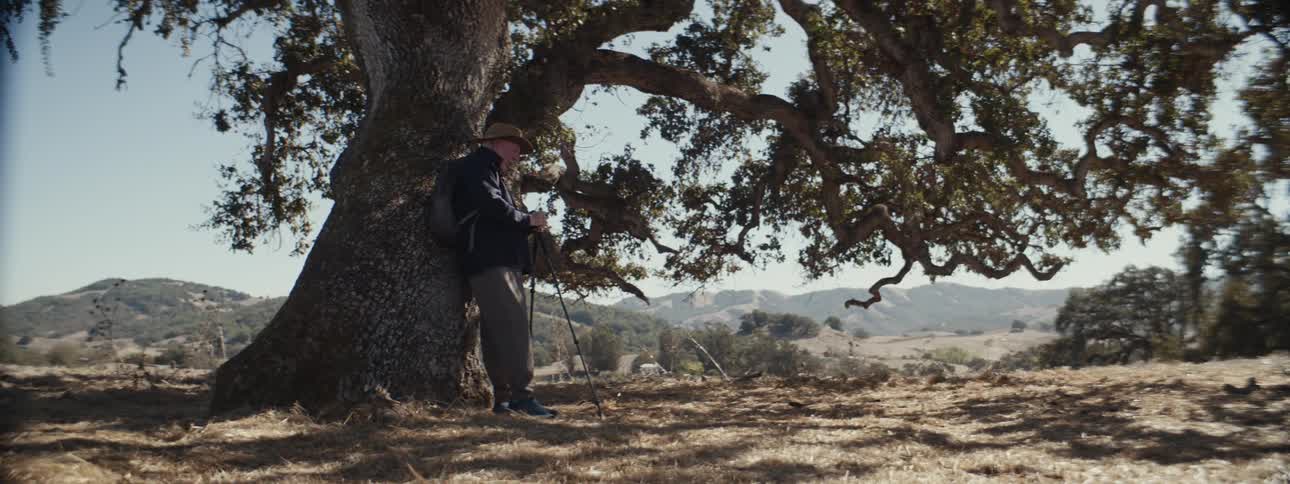 Elderly backpacker leans against a large tree to take a break
