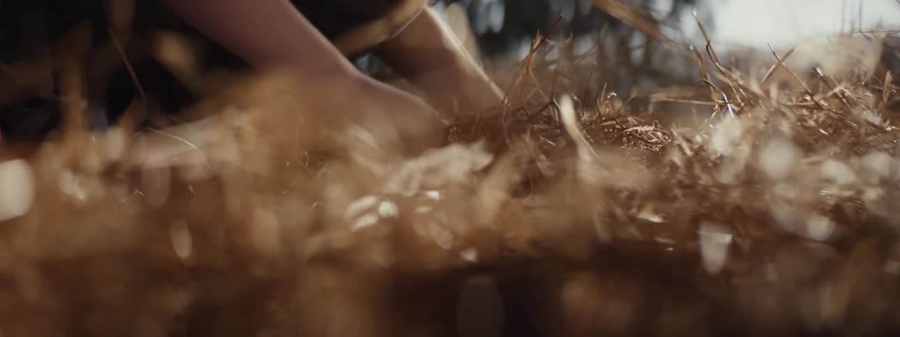 Hands of a person burying a box outdoors in the middle of dry grass