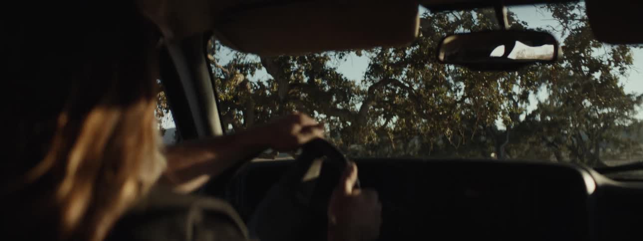 Man behind the wheel driving through a natural area