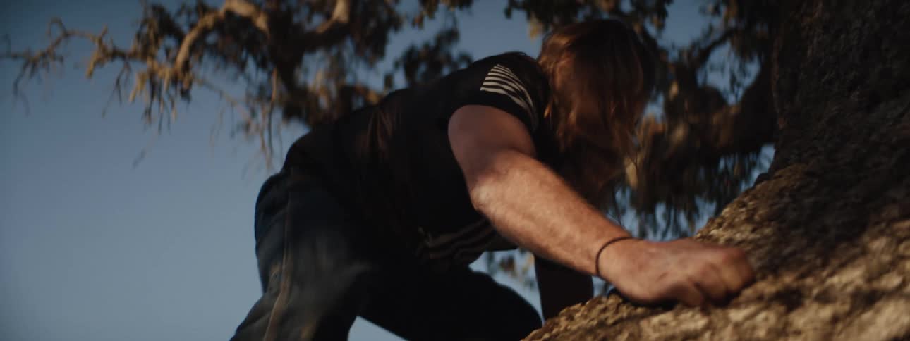 A blonde man with long hair is climbing a large tree in the countryside in the morning