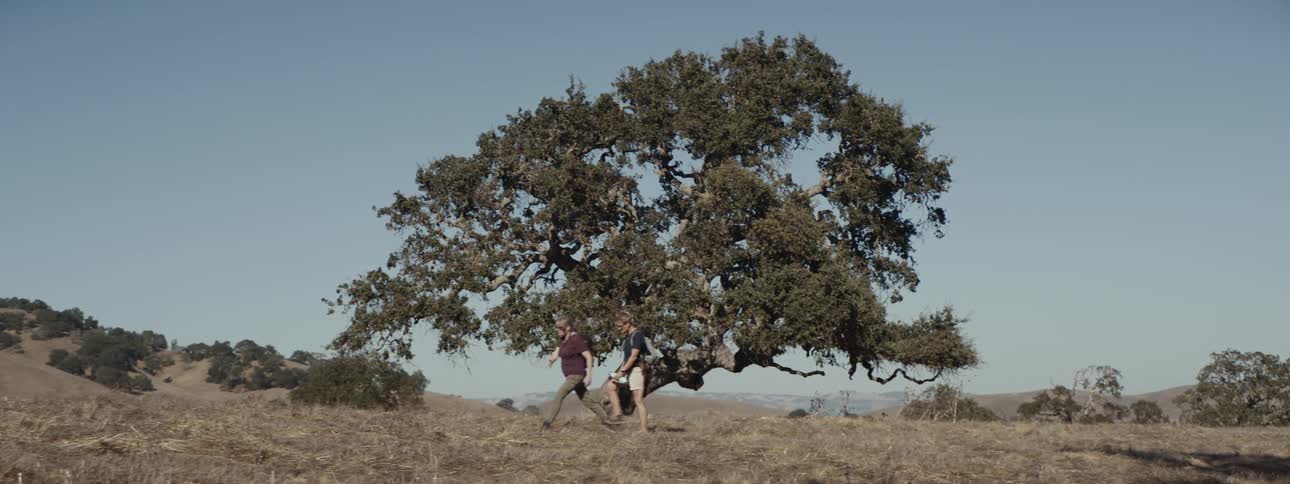 A couple hiking through a dry grassy field passing a solitary tree under a clear blue sky