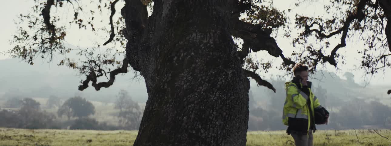 A man in a yellow high visibility vest walks behind a large tree in the countryside talking on his phone
