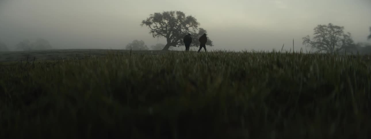 Two people walking through a green field on a cloudy and foggy day